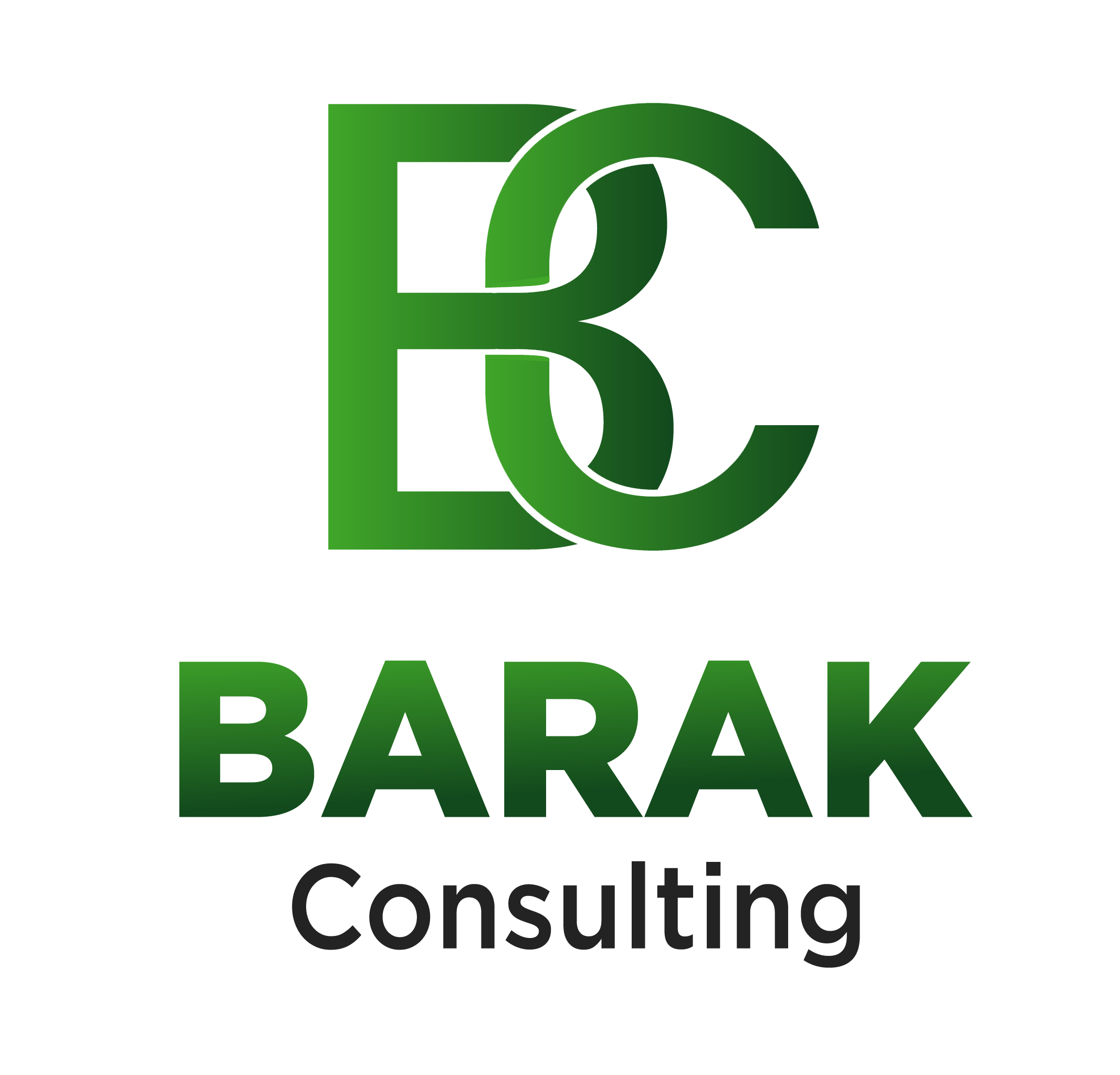 Landing Banner Logo Barak Consulting Di Daniele Draetta